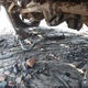 1FT8W3DT1GEB93229 2016 Ford F-350 Lariat auction photo thumbnail 20