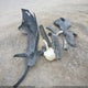 2C4RVABG3CR136321 2012 Volkswagen Routan Se auction photo thumbnail 12