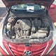 5NPEB4AC7DH776800 2013 Hyundai Sonata Gls auction photo thumbnail 10