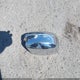 2C3CDXJG5GH313335 2016 Dodge Charger Sxt auction photo thumbnail 12
