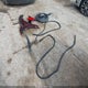 1N4BL4DVXPN373126 2023 Nissan Altima Sv Fwd auction photo thumbnail 12