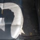 5J6TF2H58AL013709 2010 Honda Accord Crosstour Ex-L auction photo thumbnail 8