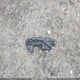 KMHLM4DJXRU110356 2024 Hyundai Elantra Hybrid Blue auction photo thumbnail 12