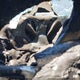 2C4RC1BG5NR191409 2022 Chrysler Pacifica Touring L auction photo thumbnail 7