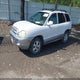 KM8SC13D95U920841 2005 Hyundai Santa Fe Gls auction photo thumbnail 2
