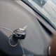 4T4BF3EK2AR063289 2010 Toyota Camry Le auction photo thumbnail 11