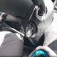 JHMGE8H2XAC034692 2010 Honda Fit auction photo thumbnail 11