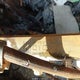 1XP5DB9X5YN487859 2000 Peterbilt 379 auction photo thumbnail 9