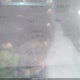 5YJ3E1EB1NF163490 2022 Tesla Model 3 Long Range Dual Motor All-Wheel Drive auction photo thumbnail 15