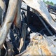2C4RC1BG1LR239890 2020 Chrysler Pacifica Touring L auction photo thumbnail 5