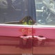 2C4RC1BG1JR219054 2018 Chrysler Pacifica Touring L auction photo thumbnail 13