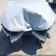5XXG64J25MG071235 2021 Kia K5 Gt-Line auction photo thumbnail 18