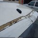2G1WT58K981217477 2008 Chevrolet Impala Lt auction photo thumbnail 12