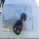 3GNFK16T14G278412 2004 Chevrolet Suburban 1500 Z71 auction photo thumbnail 11