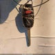 1HGFA16547L114447 2007 Honda Civic Lx auction photo thumbnail 11