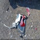 5J6RM4H53CL006391 2012 Honda Cr-V Ex auction photo thumbnail 12