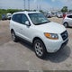 5NMSH13E09H314100 2009 Hyundai Santa Fe Se auction photo thumbnail 1