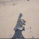 5NPD84LF9LH518858 2020 Hyundai Elantra Sel auction photo thumbnail 12