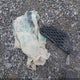 JF2GPANC5G8323038 2016 Subaru Crosstrek 2.0I Limited auction photo thumbnail 12
