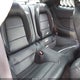 1FA6P8TH0F5301679 2015 Ford Mustang Ecoboost auction photo thumbnail 8