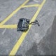 WP0AA2A73HL103786 2017 Porsche Panamera 2 auction photo thumbnail 11
