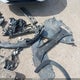 JM3TCADY5L0414896 2020 Mazda Cx-9 Grand Touring auction photo thumbnail 20