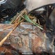 KNDPMCAC6H7233445 2017 Kia Sportage Lx auction photo thumbnail 9
