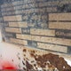 1N9F281P761045051 2006 Nuvan Technology Inc Unknown auction photo thumbnail 9