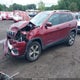 1C4PJMDX9KD307186 2019 Jeep Cherokee Limited 4X4 auction photo thumbnail 2
