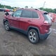 1C4PJMDX9KD307186 2019 Jeep Cherokee Limited 4X4 auction photo thumbnail 3