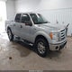 1FTRW14869FA32733 2009 Ford F-150 Xl/Xlt auction photo thumbnail 1