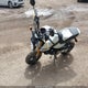 MLHJC925XS5301399 2025 Honda Grom A auction photo thumbnail 13