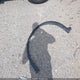 5N1AZ2ASXLN154448 2020 Nissan Murano S Intelligent Awd auction photo thumbnail 18