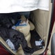 5J8TB4H55FL018758 2015 Acura Rdx auction photo thumbnail 8