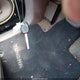 JTEBU14R468054614 2006 Toyota 4Runner Sr5 V6 auction photo thumbnail 11