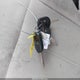 2FMDK3GC9EBB52003 2014 Ford Edge Se auction photo thumbnail 11
