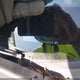 1HGCS12868A001449 2008 Honda Accord 2.4 Ex-L auction photo thumbnail 14