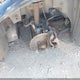 2G1WC5E3XE1138974 2014 Chevrolet Impala Limited Ltz auction photo thumbnail 12