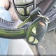 1GMDX03E54D110606 2004 Pontiac Montana M16 W/1Sa Pkg. auction photo thumbnail 11