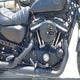 1HD4LE234KC416985 2019 Harley-Davidson Xl883 N auction photo thumbnail 8