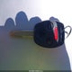5FNYF3H43AB001561 2010 Honda Pilot Ex auction photo thumbnail 11