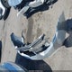 JH4CU2F63CC024478 2012 Acura Tsx 2.4 auction photo thumbnail 12
