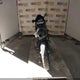 JKAZX4P167A015108 2007 Kawasaki Zx600 P auction photo thumbnail 6