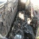 5TEWN72NX3Z188818 2003 Toyota Tacoma Base V6 auction photo thumbnail 8