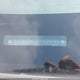 5YFBURHE5FP299999 2015 Toyota Corolla S Plus auction photo thumbnail 9