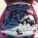1ZVHT80N685114519 2008 Ford Mustang V6 Deluxe/V6 Premium auction photo thumbnail 10