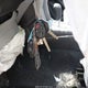 JF2SJADC0FH403035 2015 Subaru Forester 2.5I Premium auction photo thumbnail 11