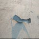 KMHCT4AEXGU137094 2016 Hyundai Accent Se auction photo thumbnail 12
