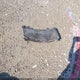 2HGFE2F51SH509010 2025 Honda Civic Sport auction photo thumbnail 12