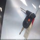 3FAHP02108R194129 2008 Ford Fusion Sel auction photo thumbnail 11